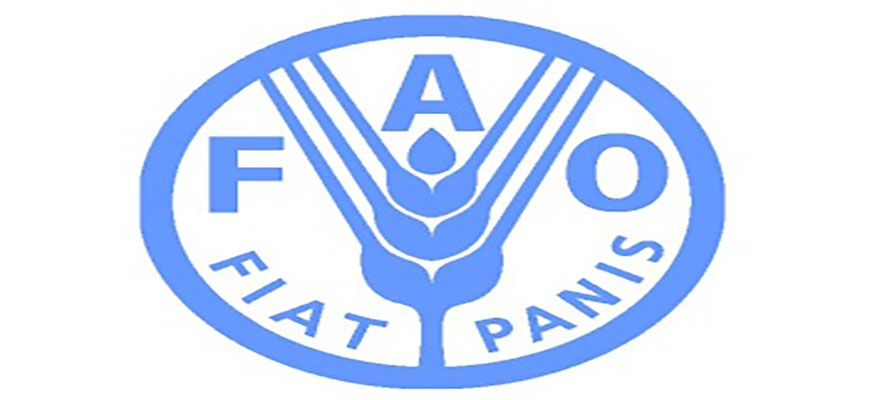 ” FAO “: 13.6 million Syrians are in ” urgent need ” of food aidimage