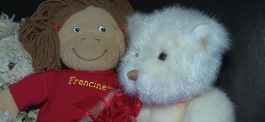 N.S. group collecting teddy bears for Syrian childrenimage